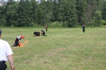 IMG_5090