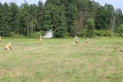 IMG_5339