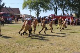 IMG_2958