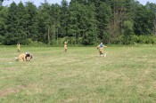 IMG_5338
