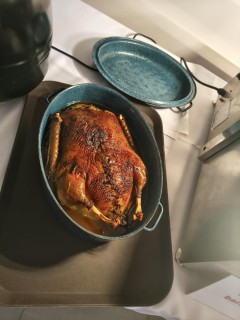 Messenger_creation_494DFEA2-2C10-489F-B133-DC6593C94C4C