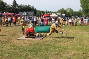 IMG_5331