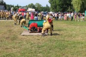 IMG_5278